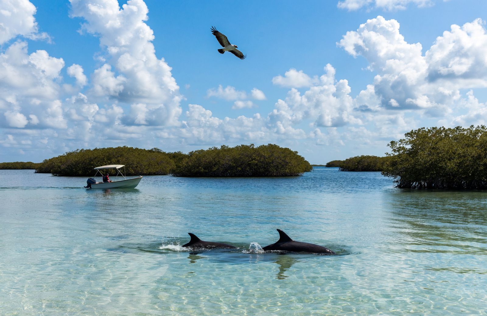 2 Hour Island Cruise