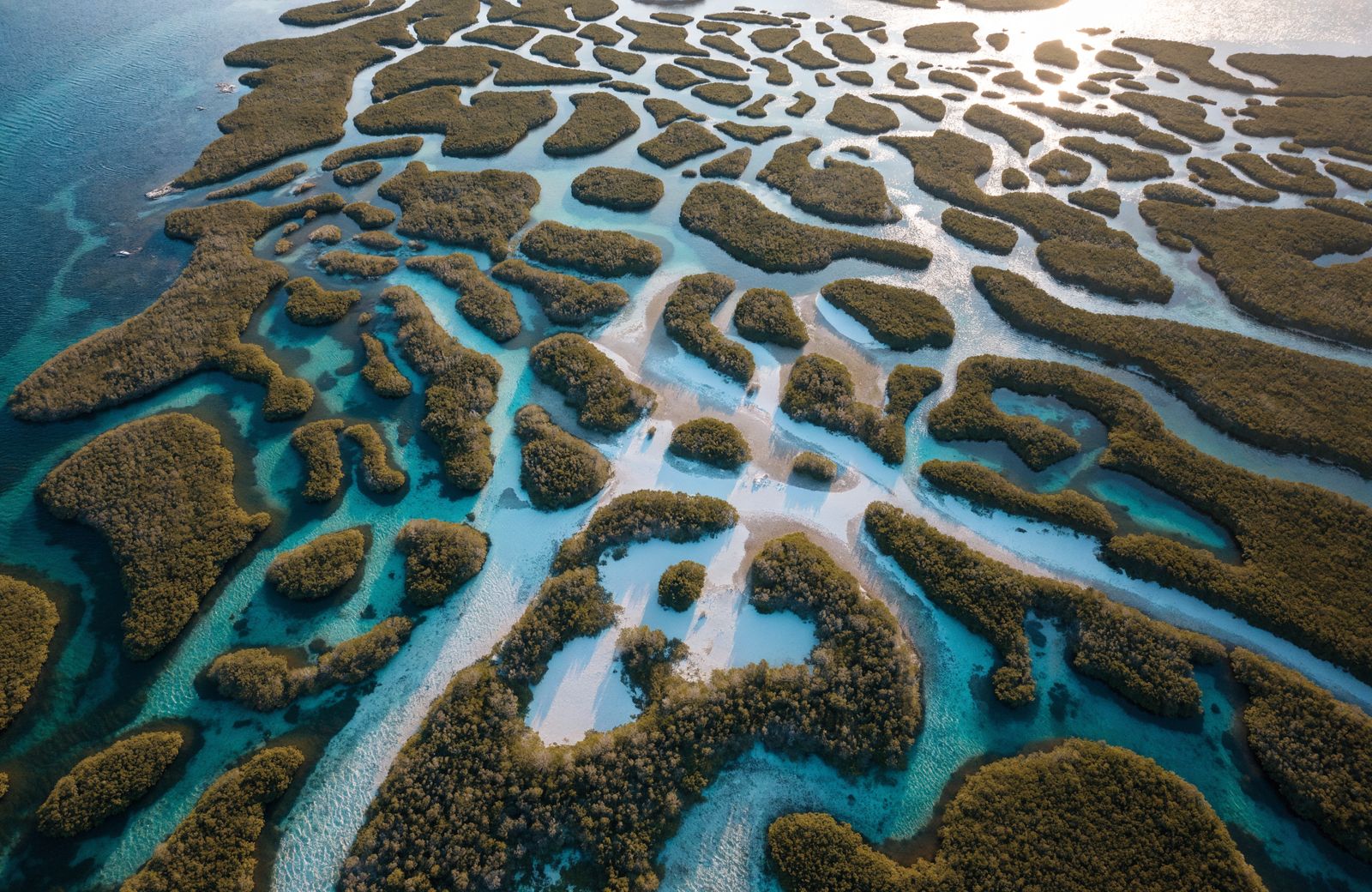 6 Hour Sandbar Charter