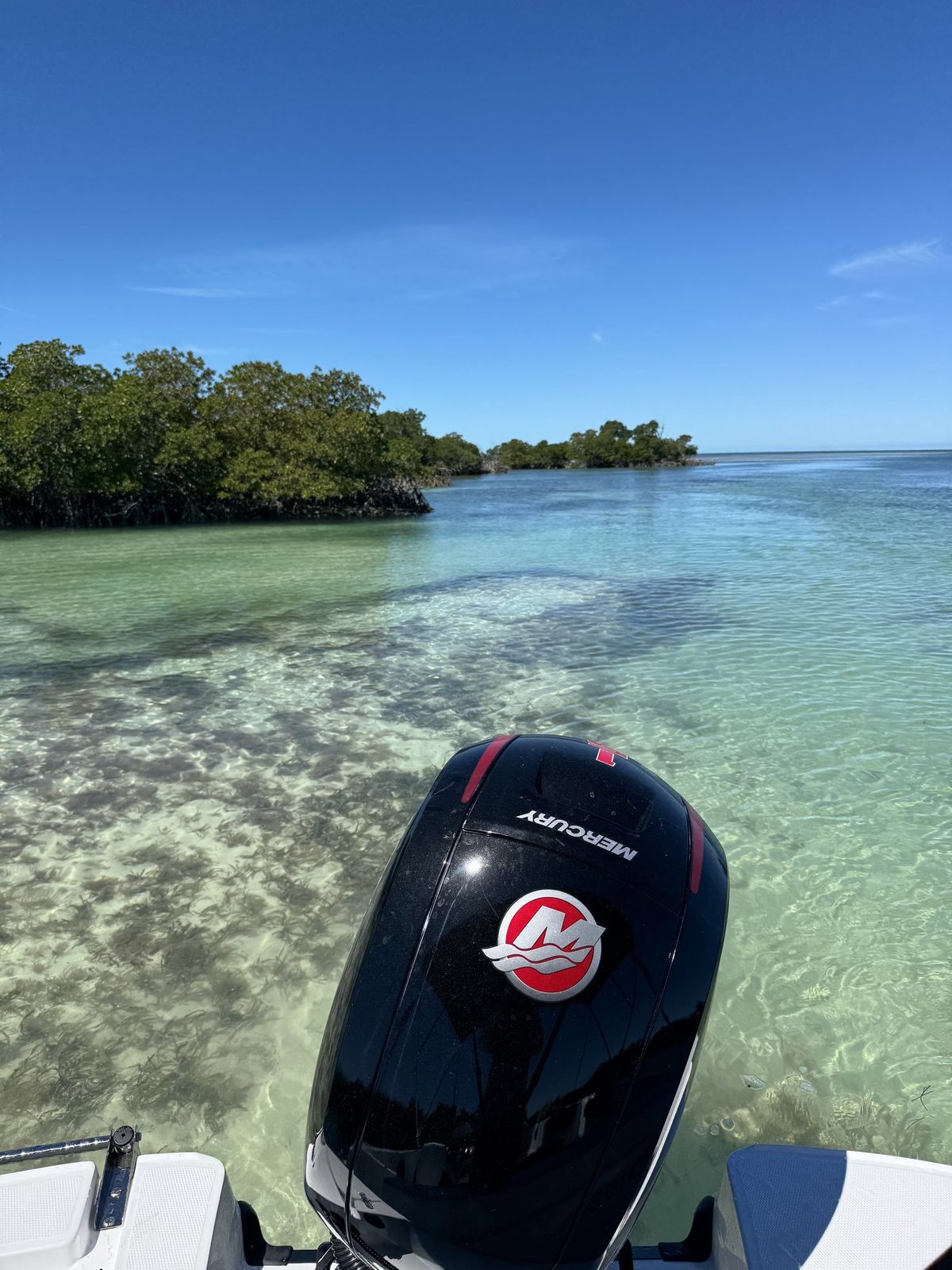 Island Daze charter photo from the Lower Keys backcountry