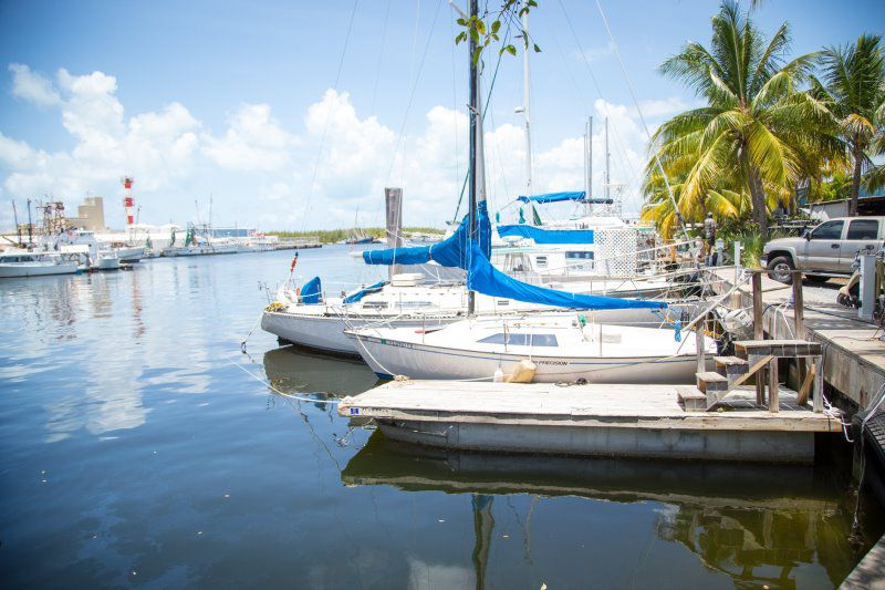 Hogfish Bar & Grill