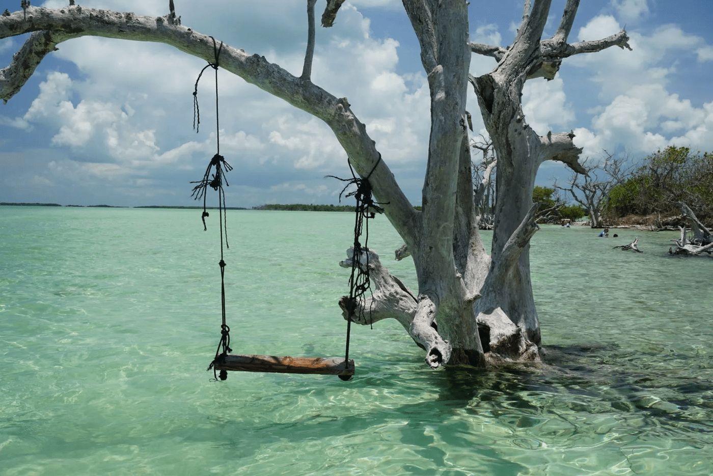 Snipes Point Sandbar